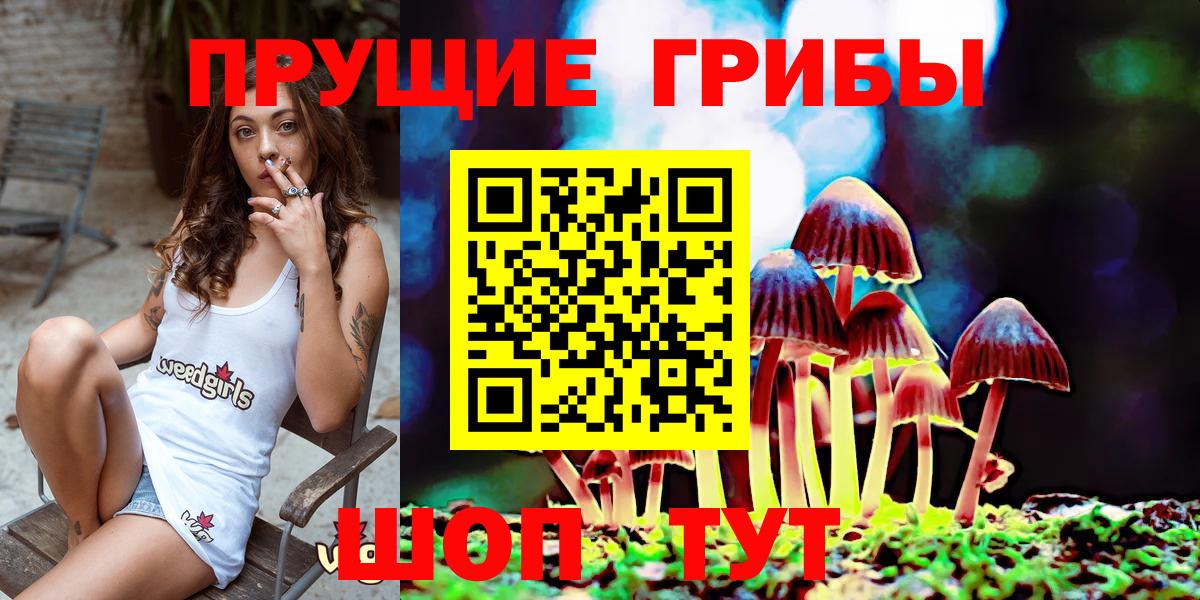 Галлюциногенные грибы Psilocybe Новоуральск