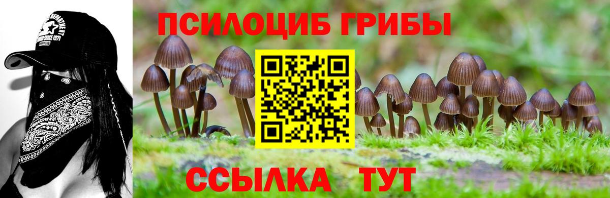 Псилоцибиновые грибы Psilocybine cubensis  Вход с VPN  Псилоцибиновые грибы Magic Shrooms  Новоуральск 